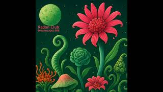 👽 Radon Dreamscapes 008 | Deep Focus Electronic and Experimental Music