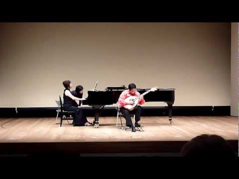 Beethoven Cello sonata 3-3  Liuto moderno