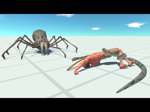 SPIDER & ANACONDA vs EVERY UNIT - Animal Revolt Battle Simulator