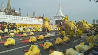 ริ้วขบวนกลุ่มคชสารคู่แผ่นดิน  นำช้าง เดินเทิดพระเกียรติในโอกาสพระราชพิธีบรมราชาภิเษก