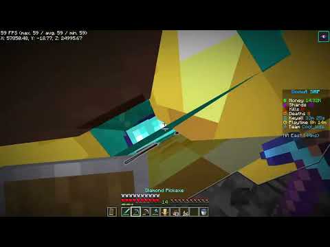 Minecraft 1.21.5 Donut SMP