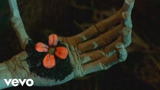 SOJA - Strength to Survive