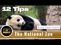 The National Zoo - Washington DC