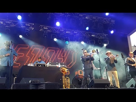 Fat Freddy's Drop Shiverman Live 2016 Gröna Lund