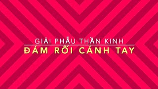 Đám rối cánh tay