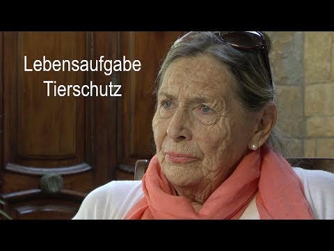 download lagu mp3 mp4 Tierhilfe Spanien Ev, download lagu Tierhilfe Spanien Ev gratis, unduh video klip Tierhilfe Spanien Ev