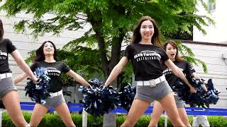 ブルーサンダース BLUE THUNDERS CHEERLEADERS 専属チアリーダーズ