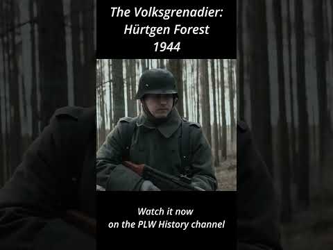 Der Volksgrenadier (Wehrmacht) #shorts