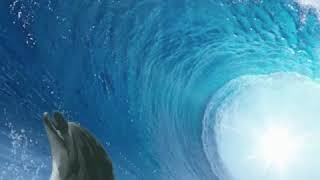 Blue Wave is coming- Blue Tsunami is coming