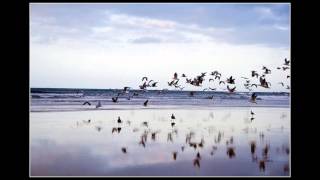 Monica Molina -Vuela