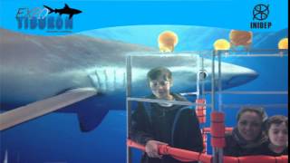 DIA 3 Expo Tiburon83