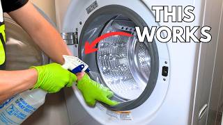The Best Way to Clean Your Front-Load Washer Rubber Gasket!