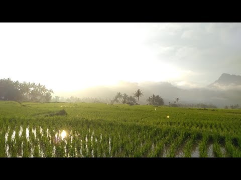 LINTAS KECAMATAN (SUNGAYANG, SUNGAI TARAB DAN LIMO KAUM)