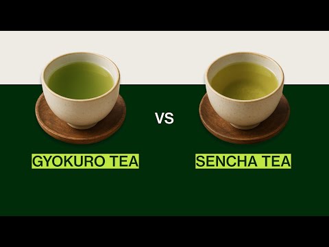 Gyokuro vs Sencha - Which is Better?