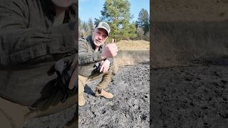 Baden Hirsche im Sand?