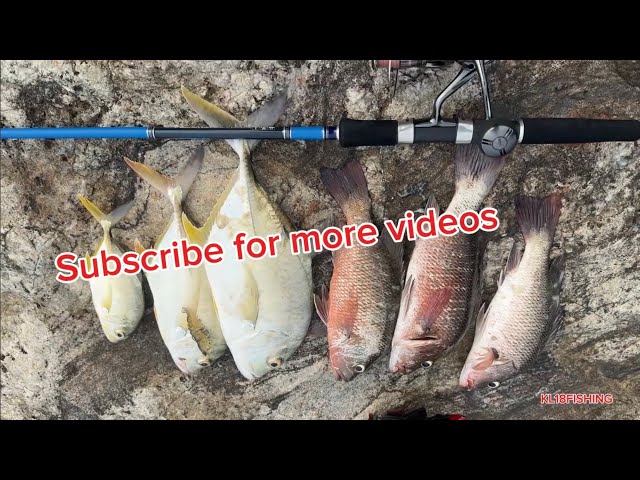 Judge.me YouTube video placeholder