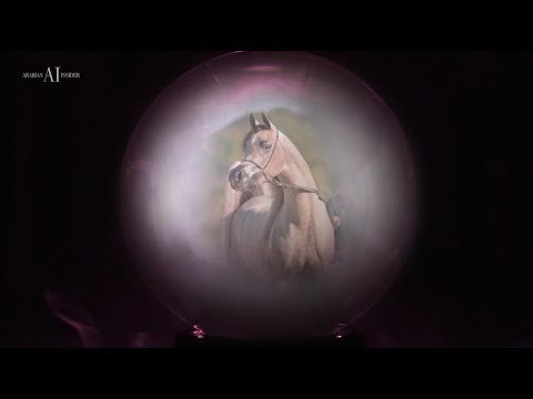 ✨ D BEISAN ✨ - 'I See My Future'