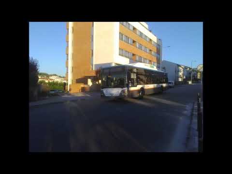 3237 STCP - 204 (audio recording)