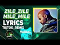Zile Zile Mile Mile LYRICS TikTok Remix