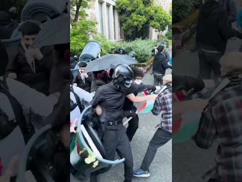 What we saw at the UW antifa Palestine protest