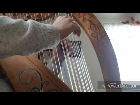 The Magic of the Double Strung Harp