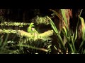 That's Us / Wild Combination - Arthur Russell x ...