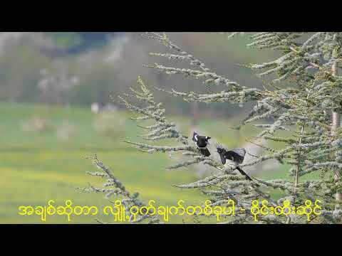 အချစ်ဆိုတာ လျှို့ဝှက်ချက်တစ်ခုပါ - စိုင်းထီးဆိုင်