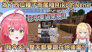 為了搶西瓜種子而尾隨Miko的Nene，以及用高價販賣種子給馬自立的Miko【 桃鈴ねね / 大空スバル / さくらみこ 】【 #ホロ金策サバイバル2 】