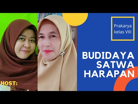 Budidaya Satwa Harapan | Prakarya kelas VIII | Norawalinawati,S.Pd
