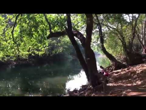 download lagu mp3 mp4 Sanjay Gandhi National Park Cycling Timings, download lagu Sanjay Gandhi National Park Cycling Timings gratis, unduh video klip Sanjay Gandhi National Park Cycling Timings