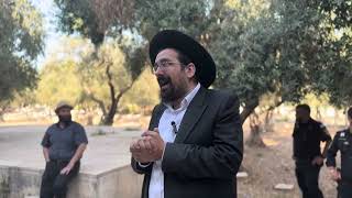 השכל וידוע אותי כי אני ה׳ | הרב אליהו ובר (ישיבת הר הבית) - התמונה מוצגת ישירות מתוך אתר האינטרנט יוטיוב. זכויות היוצרים בתמונה שייכות ליוצרה. קישור קרדיט למקור התוכן נמצא בתוך דף הסרטון