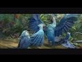 Rio 2 Dschungelfieber Cinema