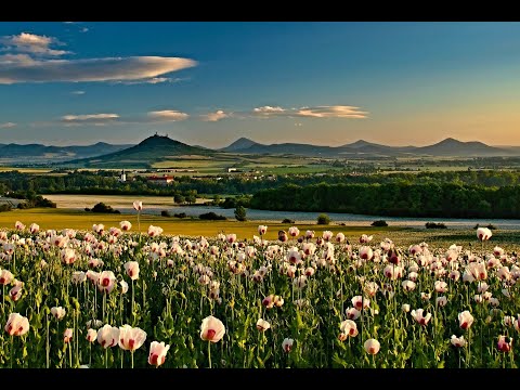 Město Libochovice - Vítejte!