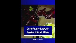 عشرات الشاحنات المغربية المحملة بالخضر والفواكه تواصل تعرضها للعرقلة  من قبل المزارعين الإسبان thumbnail
