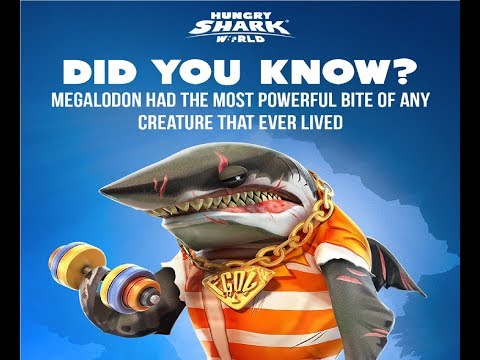 BIG MOMMA highscore Live Contest - Hungry Shark World