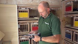 SG Neeb - Röhnfried Racing Team