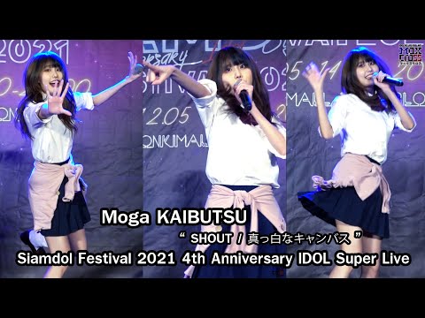 [Fancam] Moga KAIBUTSU "SHOUT/真っ白なキャンバス" @Siamdol Festival 2021 4th Anniversary IDOL Super Live