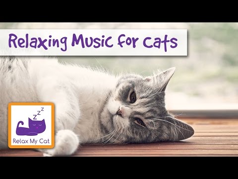 Relaxing Music for Pets - Music for Cats