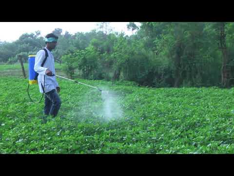 Knapsack Sprayer