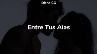 Entre Tus Alas - Camila (Letra)