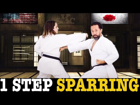 How To Work Karate Techniques With A Partner. One Step Sparring Basics. Easy To Follow!