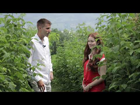 Brend moga sela ep. 33 31.07.2020. Kosjerić, Srberry, sokovi