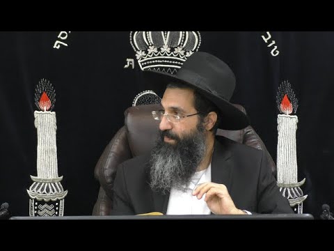 הלכות שבת - קמז' - קלי בישול 🍃 משנה ברורה סימן שיח | חלק 561 | הרב שי עובד