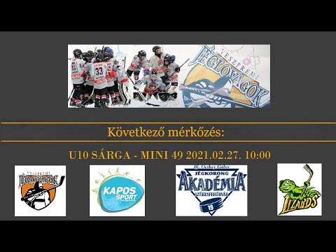 MINI SÁRGA torna 2021.02.27. "B" pálya