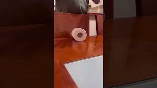 Download lagu How to do toilet paper hack #shorts #youtube #youtubeshorts #viral #trending mp3