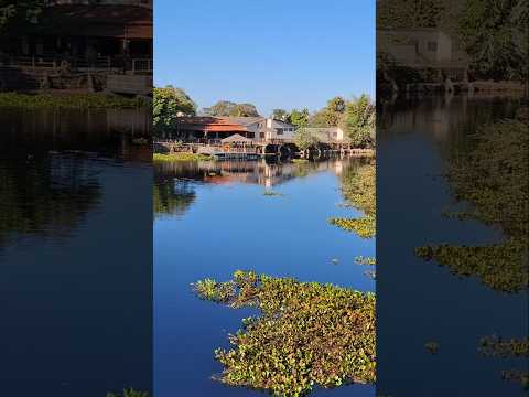 Atravessamos a Transpantaneira no Pantanal Mato-Grossense: experiência única e selvagem.