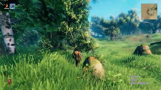 VALHEIM #1