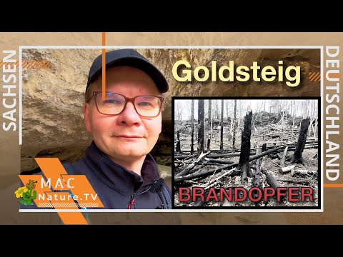 Bergpfade Sächsische Schweiz - Goldsteig - Hintergründel