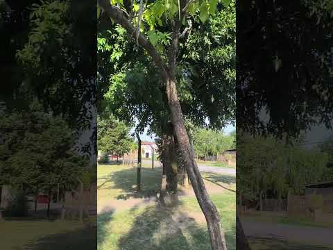 SAN VICENTE, PROVINCIA DE BUENOS AIRES, REPÚBLICA ARGENTINA. #flete #ciudad