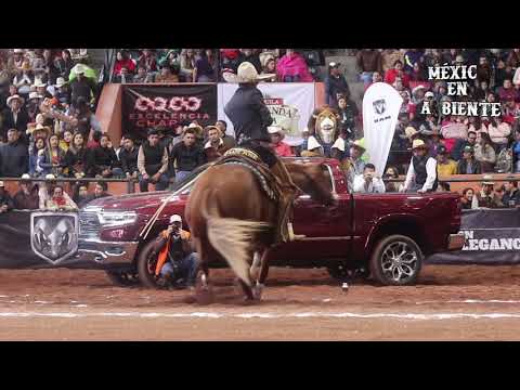 EXCELENCIA CHARRA 2019 FINAL CALA MAURICIO RIOS "RANCHO SAN JOSÉ B"